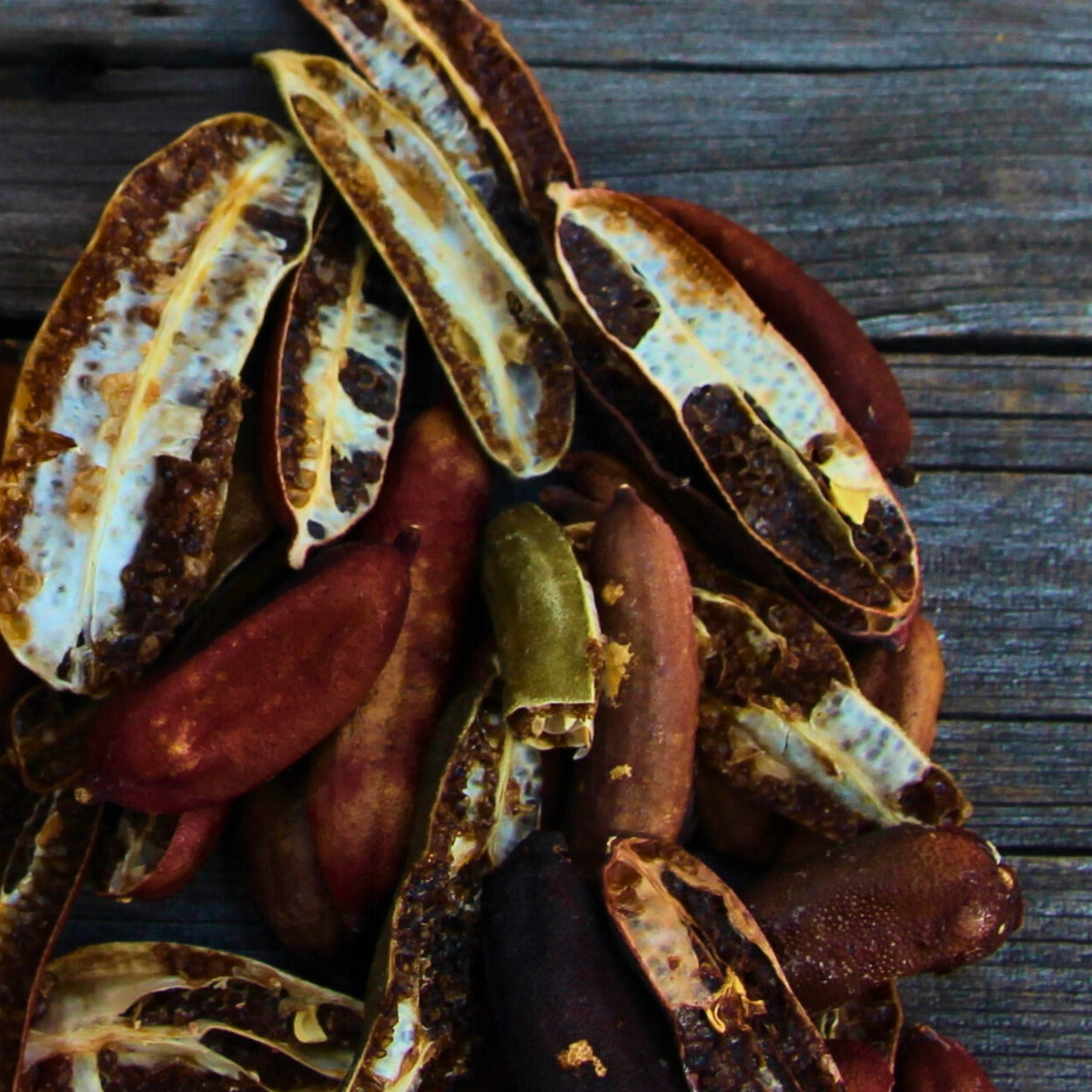 Dehydrated Finger Limes ($ per bag)
